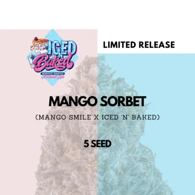 MEPHISTO_GENETICS_MANGO_SORBET_LUSCIOUS_GENETICS
