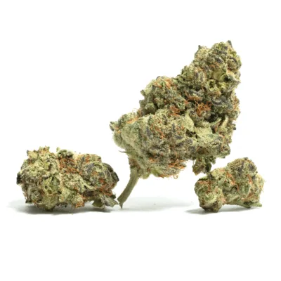 2090 Shit (Cookies Cut)