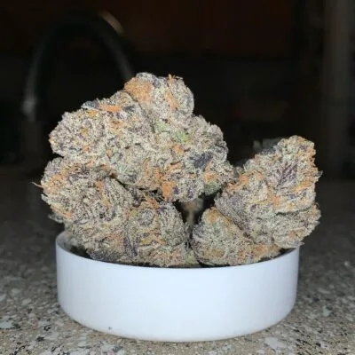 Coco Chanel (Rooted)