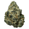 Devil's Candy (Rooted)