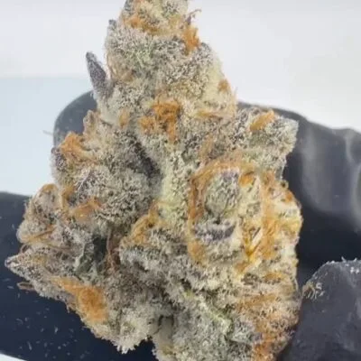 Biscotti OG