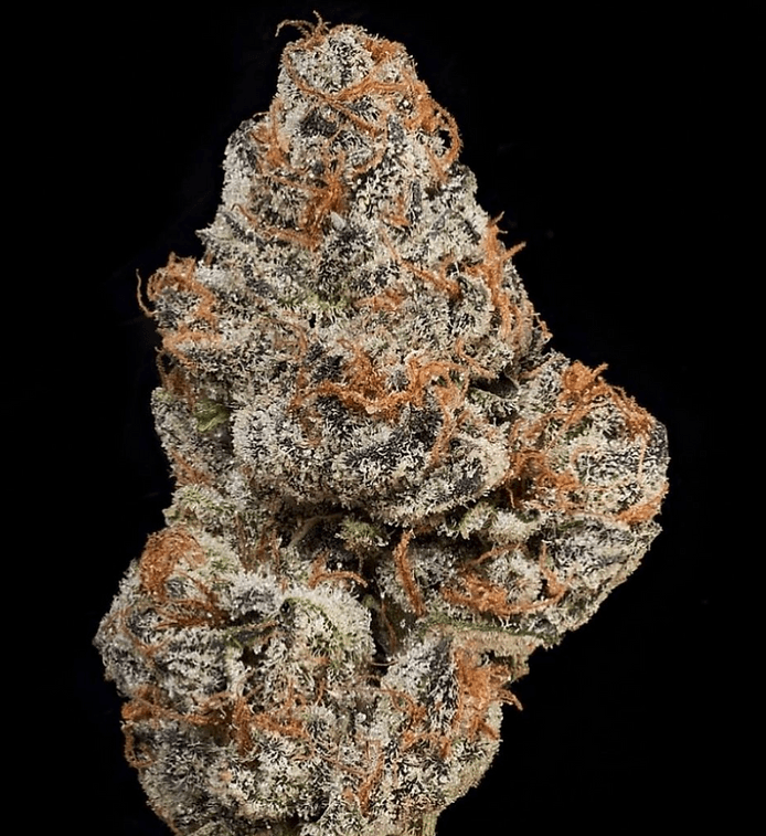 HAPPY_DREAMS_GENETICS_CHERRY_GAS_FLOWER_3_LUSCIOUS_GENETICS