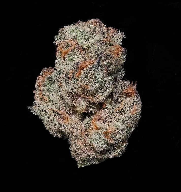 HAPPY_DREAMS_GENETICS_SOUR_LEMON_MAC_FLOWER_3_LUSCIOUS_GENETICS