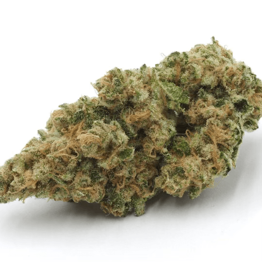HAPPY_DREAMS_GENETICS_SOUR_LEMON_MAC_FLOWER_7_LUSCIOUS_GENETICS