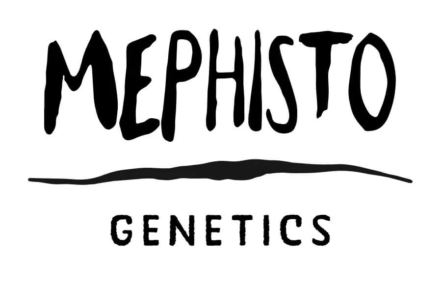 MEPHISTO_GENETICS_LOGO_2_LUSCIOUS_GENETICS MEPHISTO_GENETICS_LOGO_2_LUSCIOUS_GENETICS