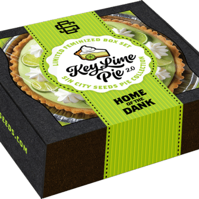 SIN_CITY_SEEDS_KEY_LIME_PIE_2.0_BOX_SET_1_LUCSIOUS_GENETICS