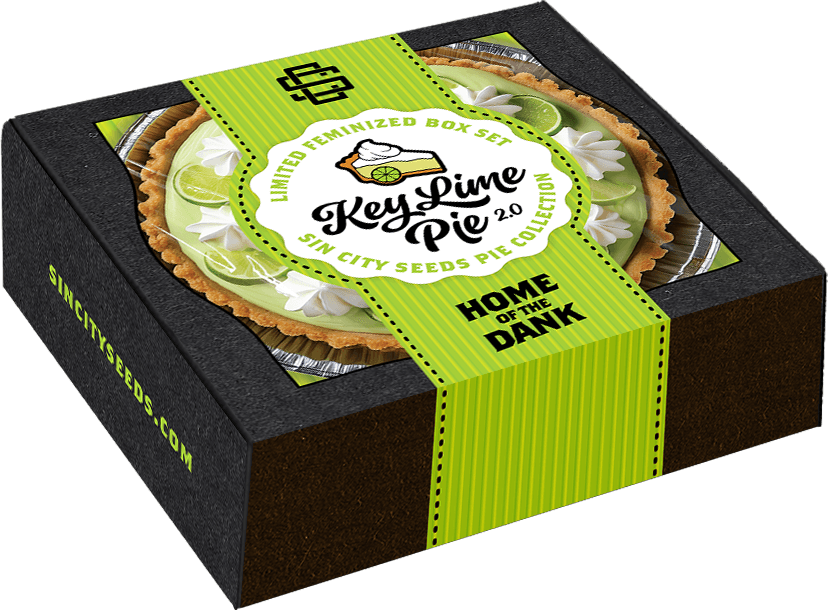 SIN_CITY_SEEDS_KEY_LIME_PIE_2.0_BOX_SET_1_LUCSIOUS_GENETICS