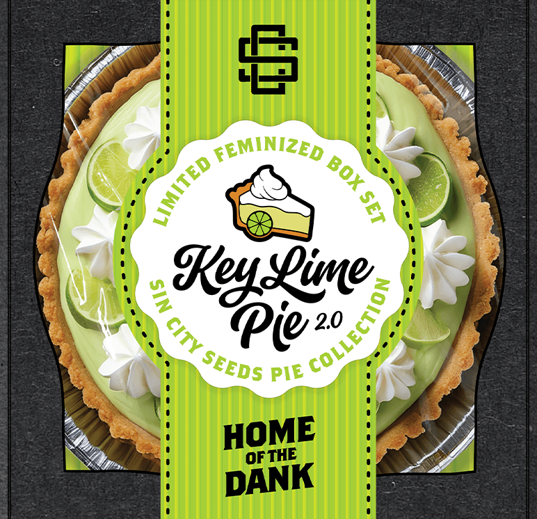 SIN_CITY_SEEDS_KEY_LIME_PIE_2.0_BOX_SET_2_LUCSIOUS_GENETICS