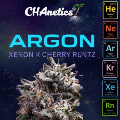 CHANETICS_ARGON_FLOWER_GRAPHIC_LUSCIOUS_GENETICS