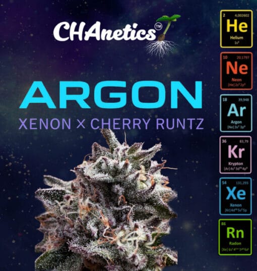 CHANETICS_ARGON_FLOWER_GRAPHIC_LUSCIOUS_GENETICS