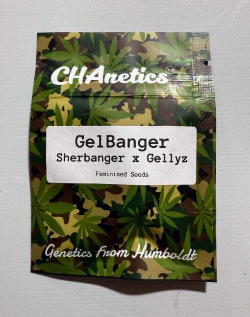 CHANETICS_GELBANGER_SEED_PACK_LUSCIOUS_GENETICS