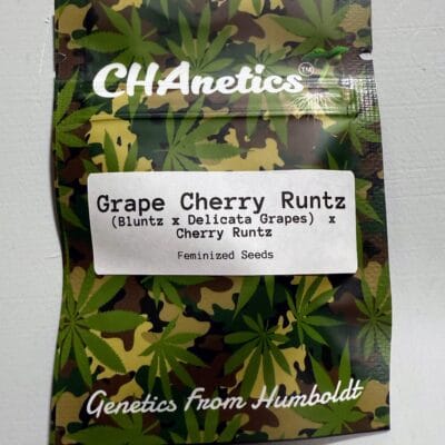 CHANETICS_GRAPE_CHERRY_RUNTZ_SEED_PACK_LUSCIOUS_GENETICS