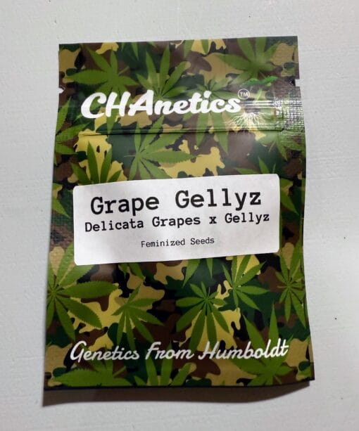 CHANETICS_GRAPE_GELLYZ_SEED_PACK_LUSCIOUS_GENETICS