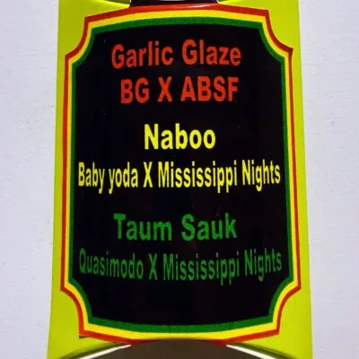 TREE1FOUR_GENETICS_MULTI_PACK_1_SEED_PACK_LUSCIOUS_GENETICS