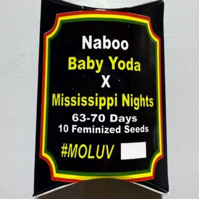 TREE1FOUR_GENETICS_NABOO_SEED_PACK_LUSCIOUS_GENETICS