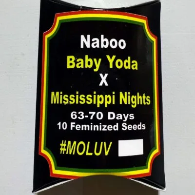 TREE1FOUR_GENETICS_NABOO_SEED_PACK_LUSCIOUS_GENETICS