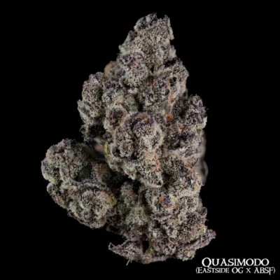 TREE1FOUR_GENETICS_QUASIMODO_FLOWER_1_LUSCIOUS_GENETICS