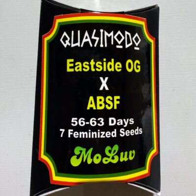 TREE1FOUR_GENETICS_QUASIMODO_SEED_PACK_LUSCIOUS_GENETICS