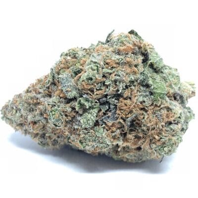 GENETICS_FANATICS_CHOCOLATE_GLUE_FLOWER_1_LUSCIOUS_GENETICS