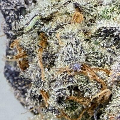 TRICHOME_BROS_CHIMERA_CHEW_FLOWER_4
