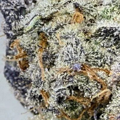 TRICHOME_BROS_CHIMERA_CHEW_FLOWER_4