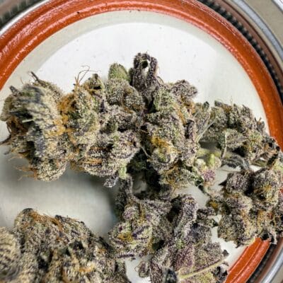 TRICHOME_BROS_DEVILS_BERRY_GAS_FLOWER_1