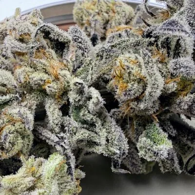 TRICHOME_BROS_DEVILS_CANDY_S1_FLOWER_2