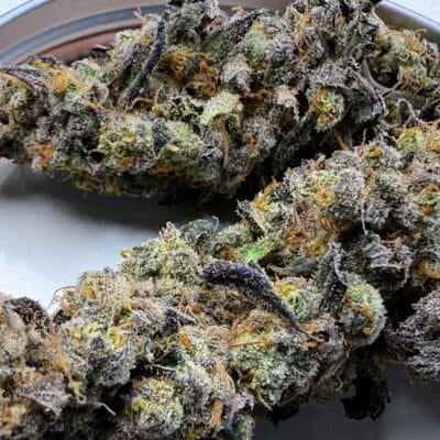 TRICHOME_BROS_DIABLO_CREAMSICLE_FLOWER_2