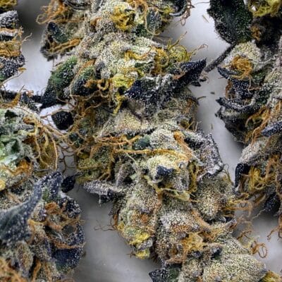 TRICHOME_BROS_EREBUS_FROSTING_FLOWER_2