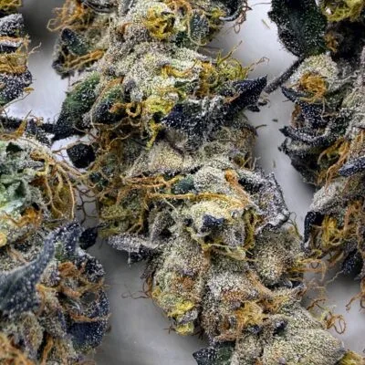 TRICHOME_BROS_EREBUS_FROSTING_FLOWER_2