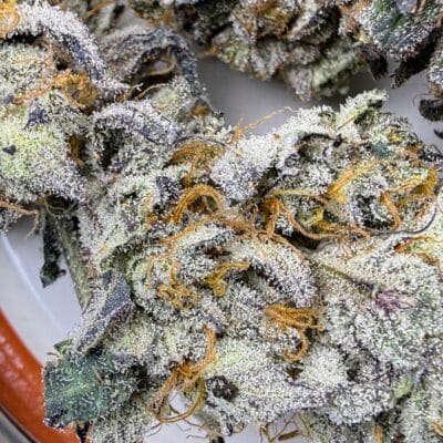 TRICHOME_BROS_LUCIFER_CRUMBLE_FLOWER_2
