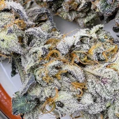 TRICHOME_BROS_LUCIFER_CRUMBLE_FLOWER_2