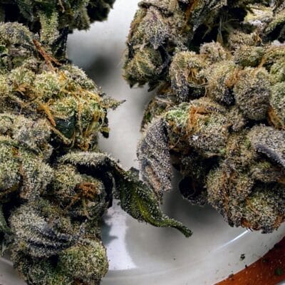 TRICHOME_BROS_MAELSTROM_CAKE_FLOWER_2