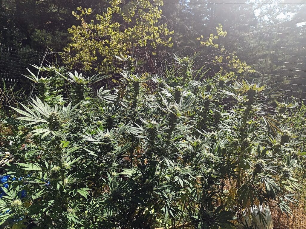 Image #1 from Anonymous